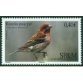 Pájaro Pinzón Morado